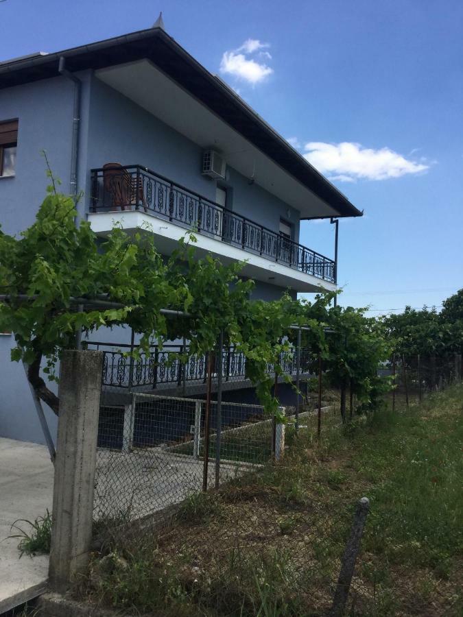 Mario'S House Apartment Vergina Luaran gambar